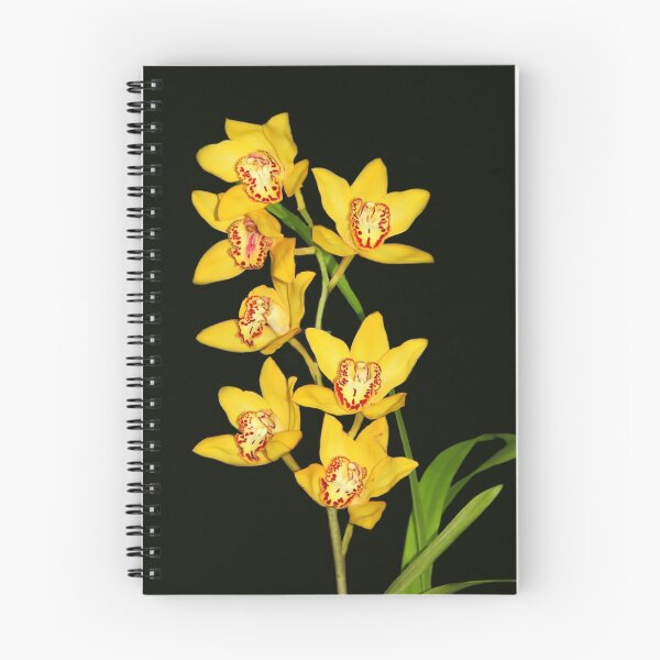 Item preview, Cymbidium Orchid Beauty designed and sold by vette.