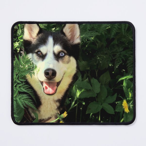 Item preview, Husky's Sharp Gaze designed and sold by theredsharp.