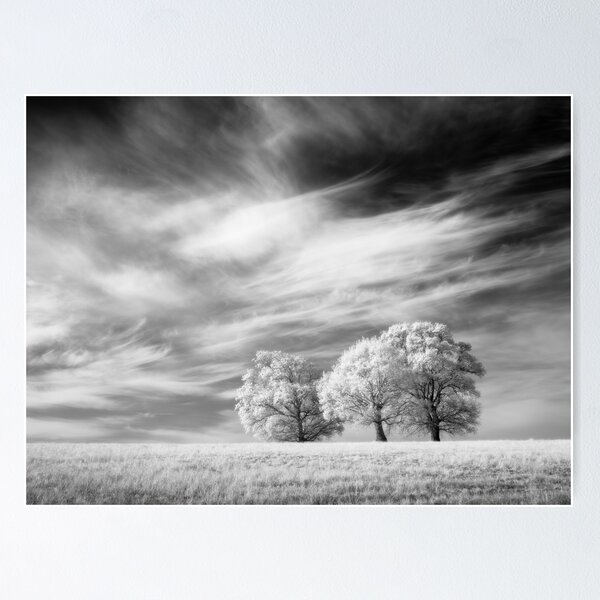 Item preview, Infrared Oaks designed and sold by Craig Joiner.