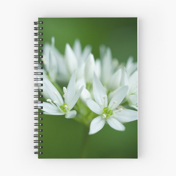 Item preview, Wild Garlic Flowers designed and sold by Craig Joiner.
