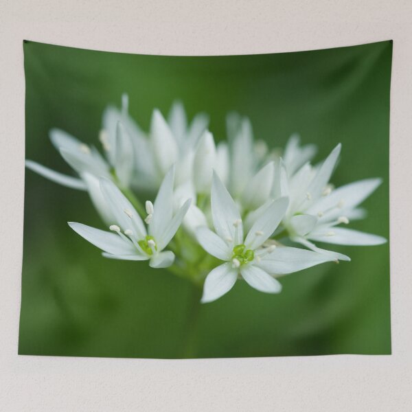 Item preview, Wild Garlic Flowers designed and sold by Craig Joiner.