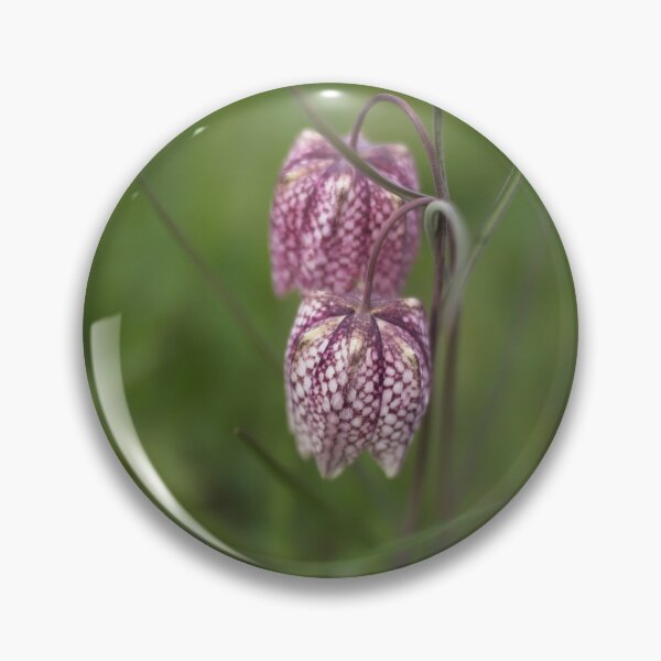Item preview, Purple and White Fritillary  designed and sold by AnitaLynne.