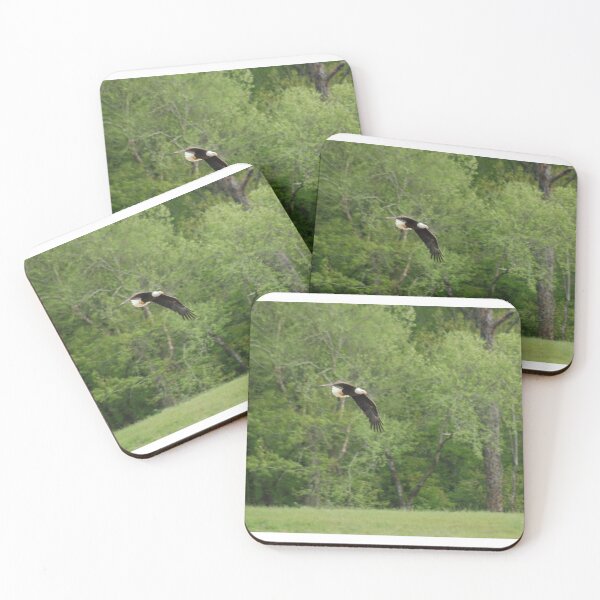Item preview, Volar como un aguila designed and sold by scottyp143.