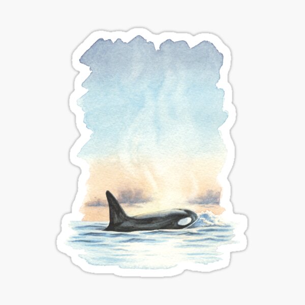 Item preview, Sunset Orca designed and sold by CosmicOrcas.