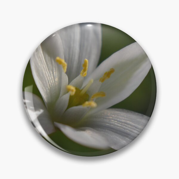 Item preview, Tiny pretty wildflower 2 designed and sold by Tonia Delozier's Photography .