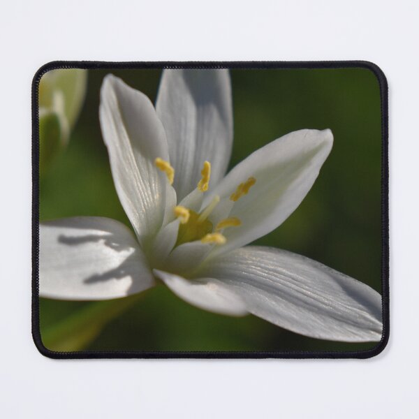 Item preview, Tiny pretty wildflower 2 designed and sold by Tonia Delozier's Photography .
