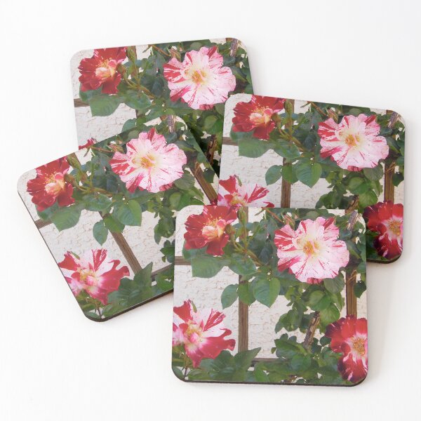 Item preview, Red and white roses designed and sold by Shulie1.
