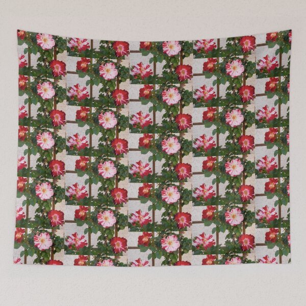 Item preview, Red and white roses designed and sold by Shulie1.