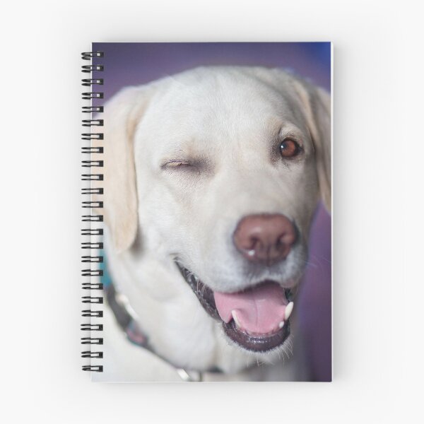Item preview, Mister dog! designed and sold by Cezare-Prinelli.