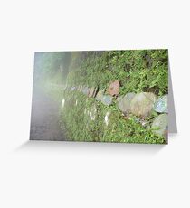 May Peace on Earth Prevail Greeting Card