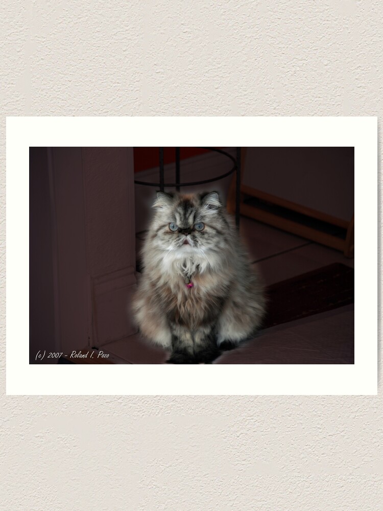 Alternate view of Fur Ball Art Print