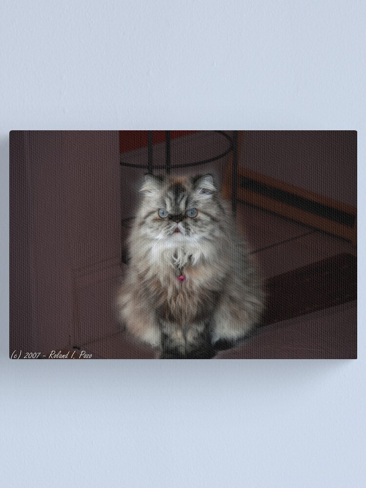 Alternate view of Fur Ball Canvas Print