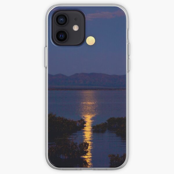 Stairway iPhone Soft Case