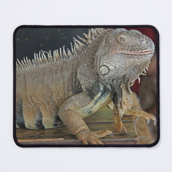 Item preview, Green Iguana designed and sold by Chet  King.
