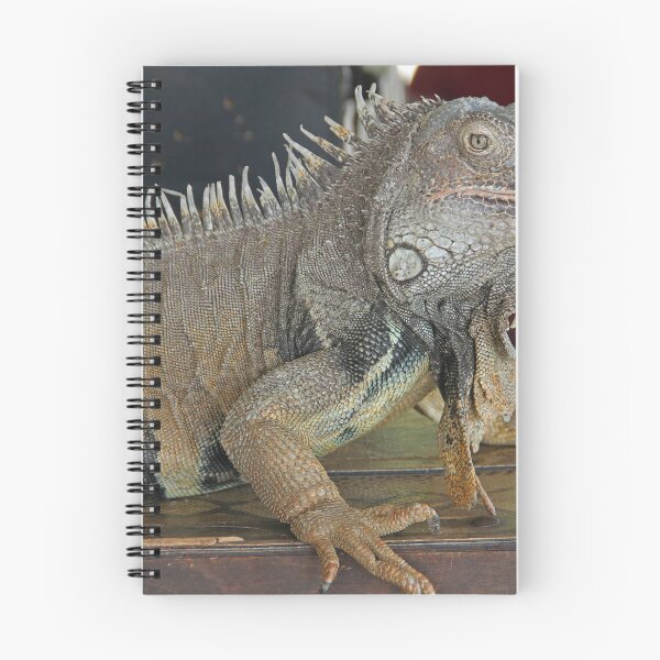 Item preview, Green Iguana designed and sold by Chet  King.