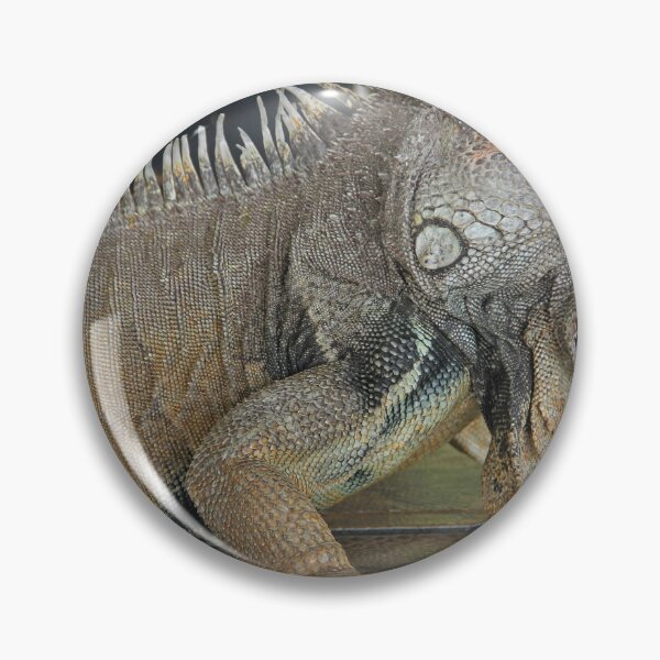 Item preview, Green Iguana designed and sold by Chet  King.