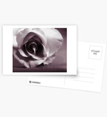 Manipulated Postcards