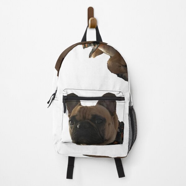Item preview, Archie! v2 designed and sold by ladybirds-hill.