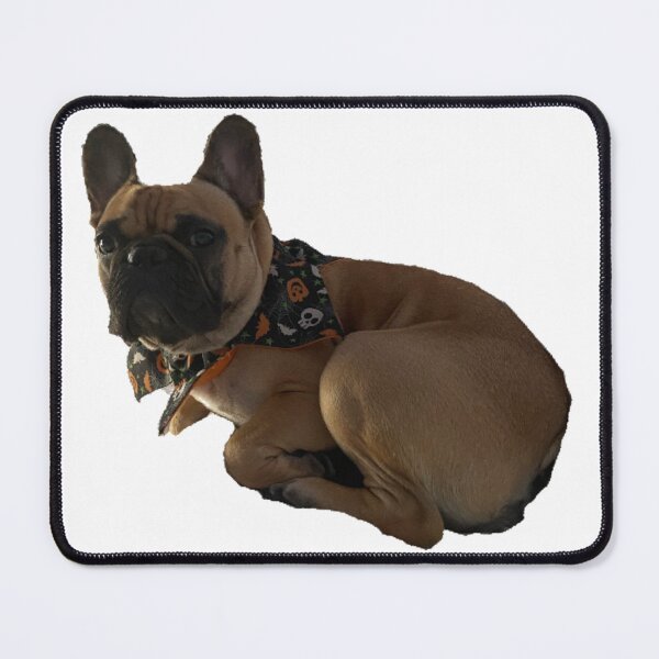 Item preview, Archie! v2 designed and sold by ladybirds-hill.