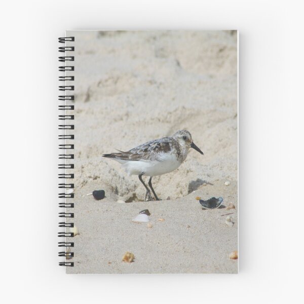 Item preview, Baby Seagull on the Beach designed and sold by KirstenJRenfroe.