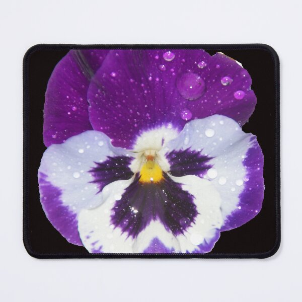 Item preview, Pansey by Adelaide Artist Avril Thomas at Magpie Springs designed and sold by MagpieSprings.