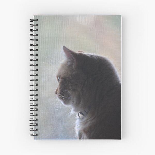 Item preview, Pondering Kitty designed and sold by SariePhotograph.
