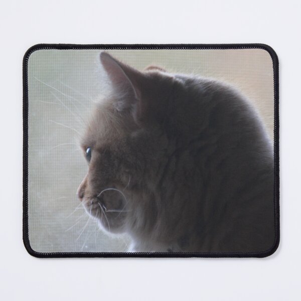 Item preview, Pondering Kitty designed and sold by SariePhotograph.