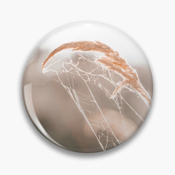 Item preview, Dry grass with spider's web on a beige background. Fine art photography. Ukraine designed and sold by Katenaz.
