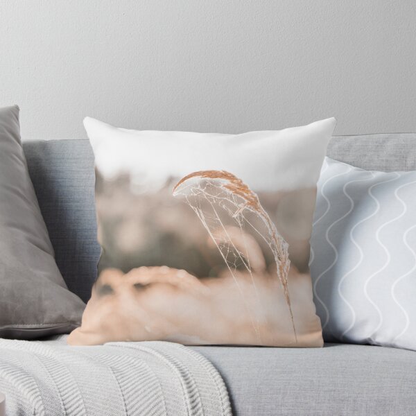 Item preview, Dry grass with spider's web on a beige background. Fine art photography. Ukraine designed and sold by Katenaz.