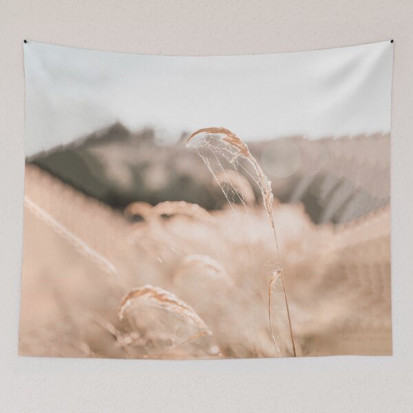 Item preview, Dry grass with spider's web on a beige background. Fine art photography. Ukraine designed and sold by Katenaz.