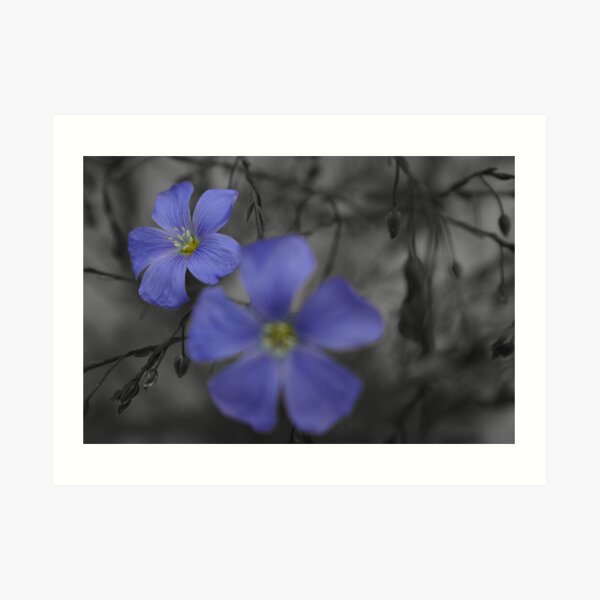 Passion Art Print