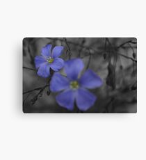 Passion Canvas Print