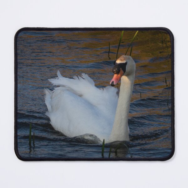 Item preview, Sunset Swan designed and sold by GingerMan2550.