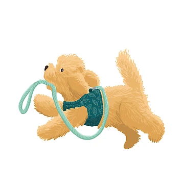 Artwork thumbnail, Get back here! Cockapoo by Murrell-Doodles