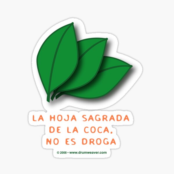 the sacred coca is not a drug... la hoja sagrada de la coca, no es droga... Sticker