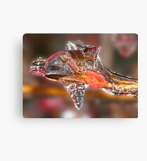 Giraffe Icicle ! Canvas Print