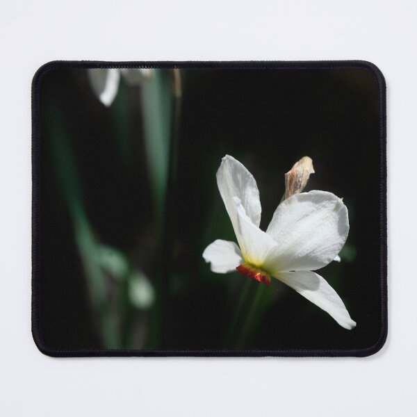 Item preview, White flowers on black background designed and sold by olena2552.
