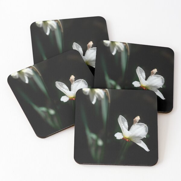 Item preview, White flowers on black background designed and sold by olena2552.
