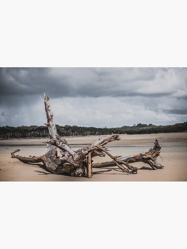 "Peggs Beach, Circular Head Tasmania " Poster for Sale by taspaul