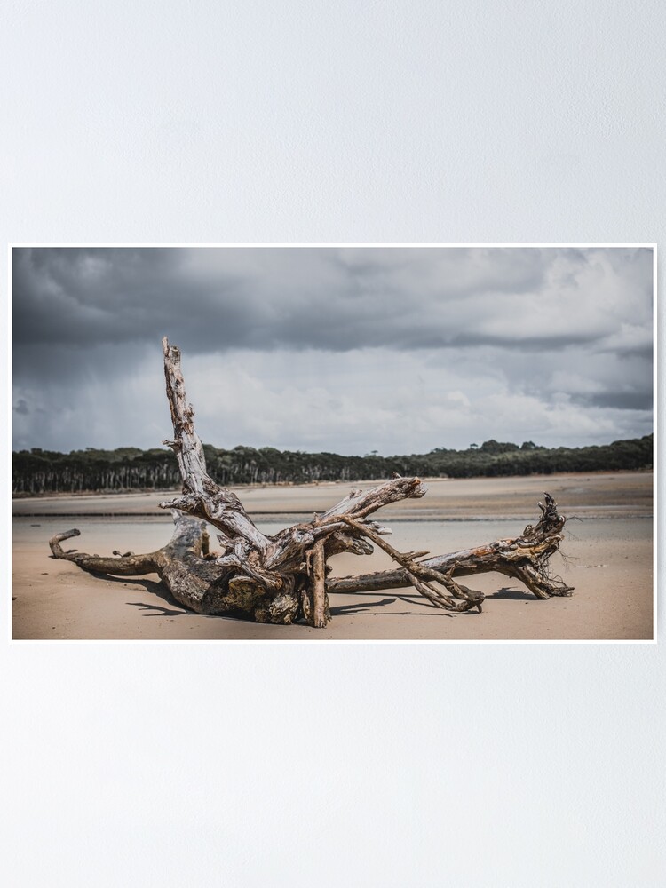 "Peggs Beach, Circular Head Tasmania " Poster for Sale by taspaul