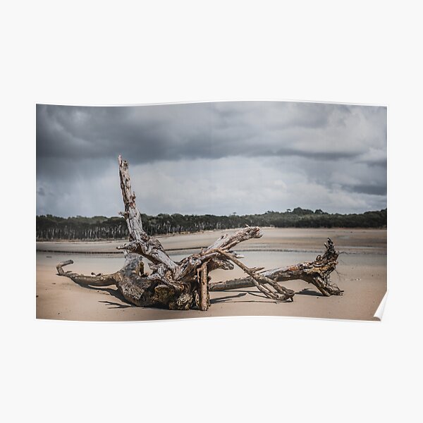 "Peggs Beach, Circular Head Tasmania " Poster for Sale by taspaul