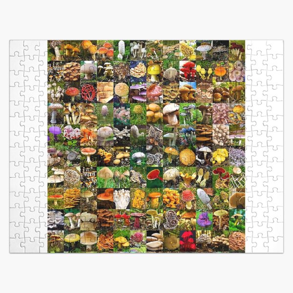 Mushrooms of The World Jigsaw Puzzle