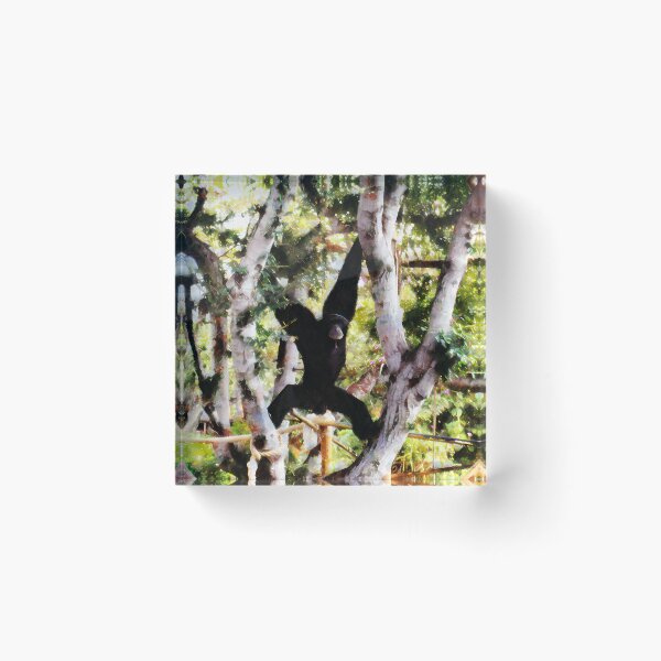 Item preview, X Marks the Gibbon designed and sold by PictureNZ.