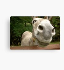 Give us a snog Canvas Print
