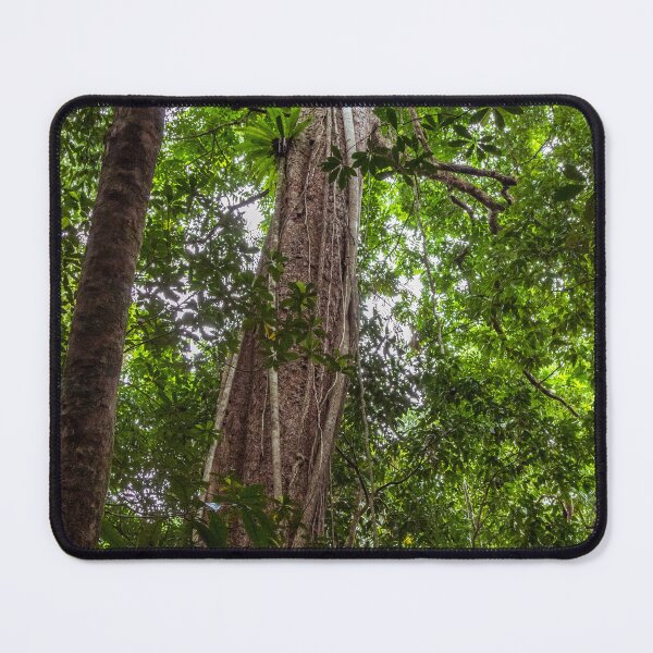 Item preview, Mossman Rainforest Stream 3893 designed and sold by Justin Mckinney.