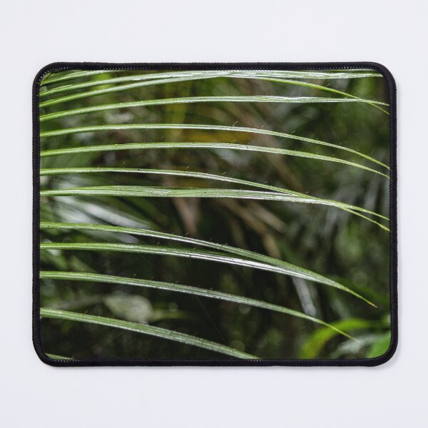 Item preview, Mossman Rainforest Palm 3895  designed and sold by Justin Mckinney.