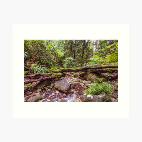 Item preview, Mossman Rainforest 3900 designed and sold by Justin Mckinney.