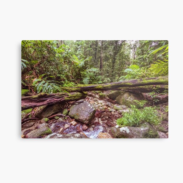 Item preview, Mossman Rainforest 3900 designed and sold by Justin Mckinney.
