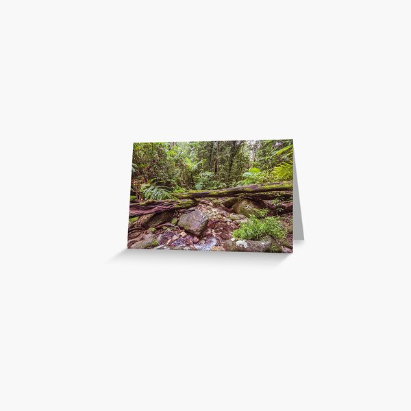 Item preview, Mossman Rainforest 3900 designed and sold by Justin Mckinney.