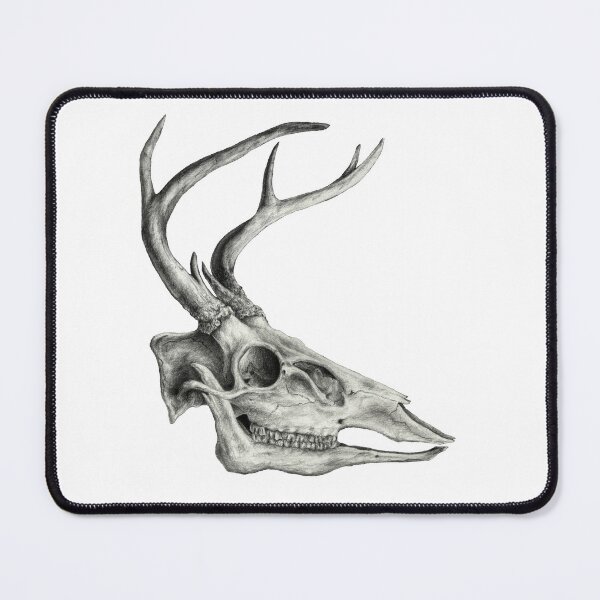 Item preview, Deer Skull (No Background) designed and sold by CIllustration.